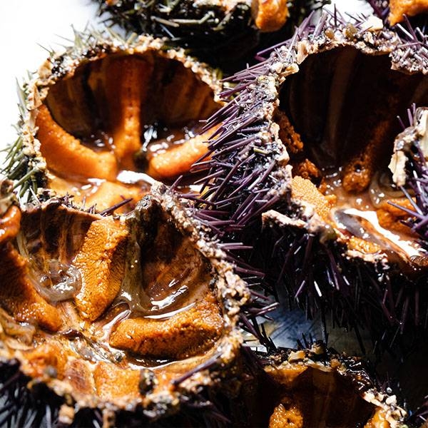 Le restaurant - Bar de l'ile - Rouen - top resto ROUEN